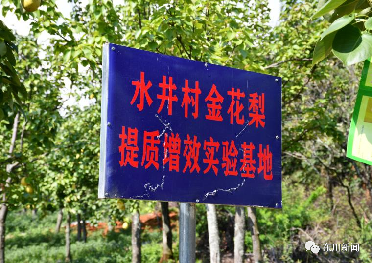 东川新闻