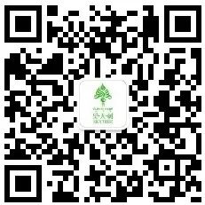 西双版纳望天树景区