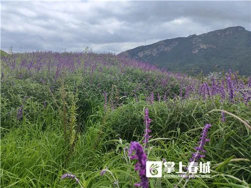 昆明西山发布