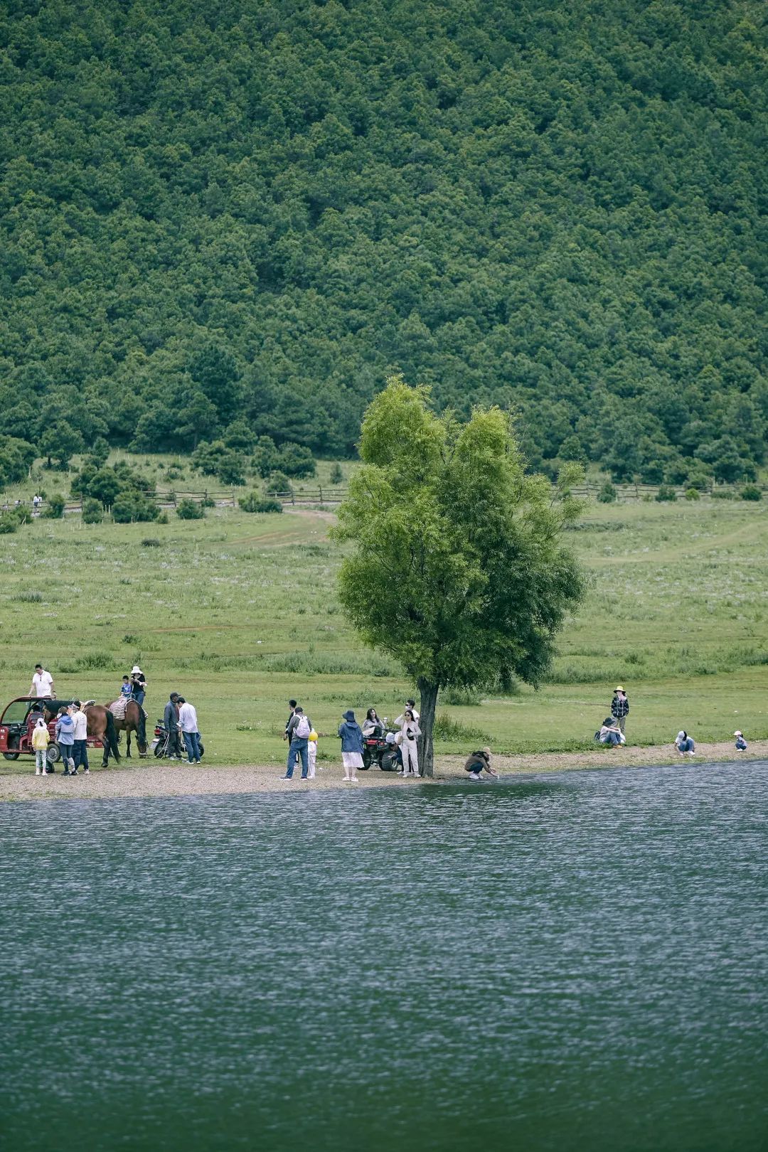 云南省文化和旅游厅