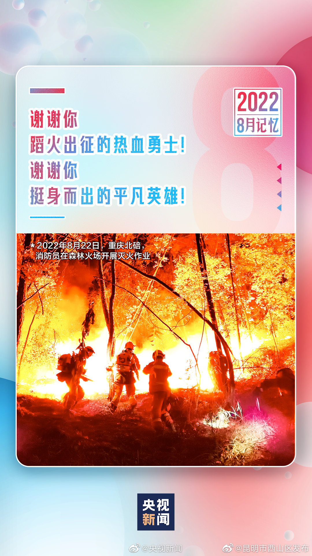 昆明市西山区发布