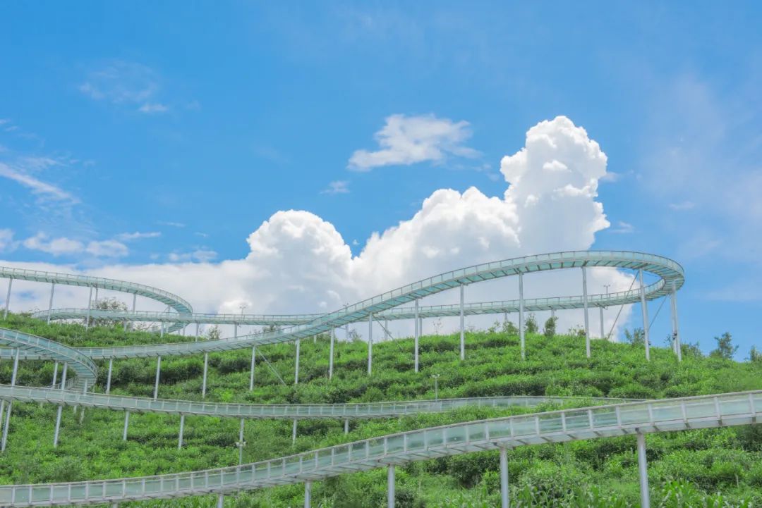 保山新闻网