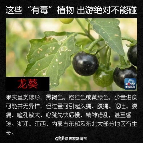 “昆明五华发布”微博
