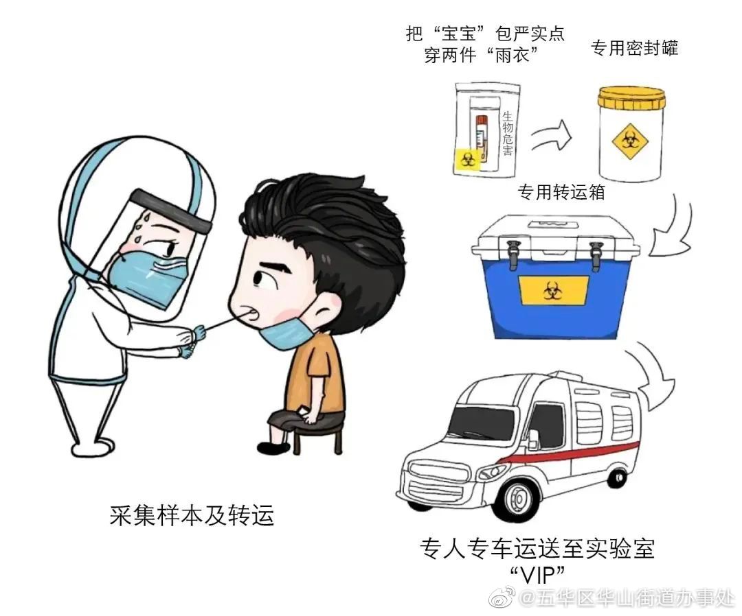 核酸的检测有多麻烦？看完都不好意思催结果了