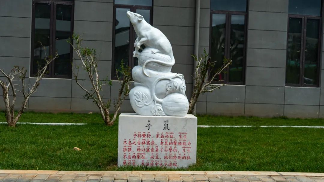 丽江日报