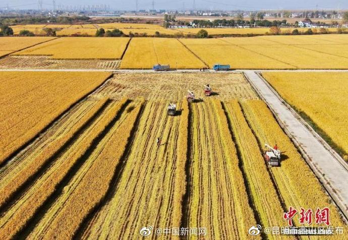 昆明市西山区发布
