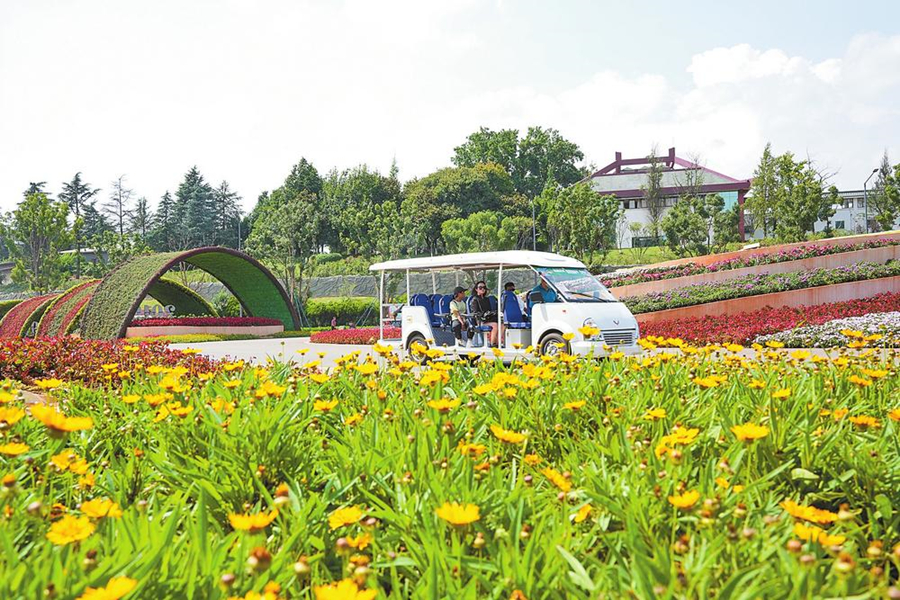 新华网云南频道