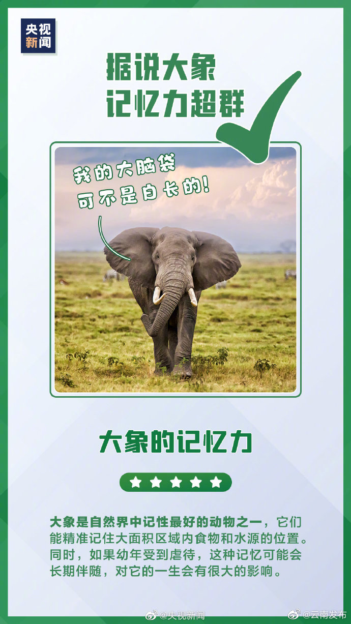 “云南发布”微博