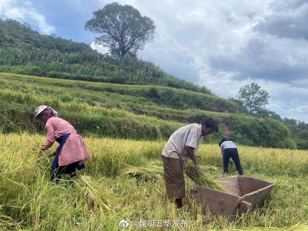 “昆明五华发布”微博