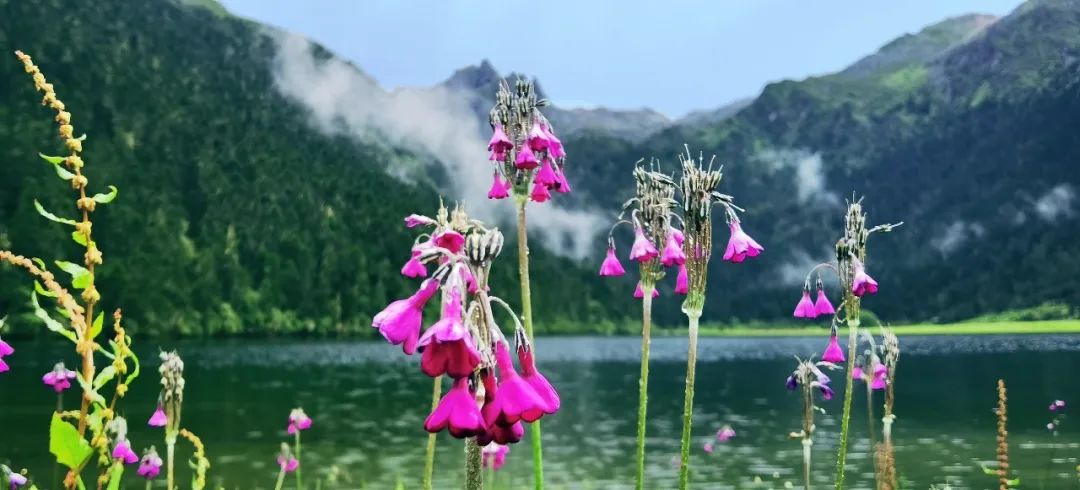 一部手机游云南