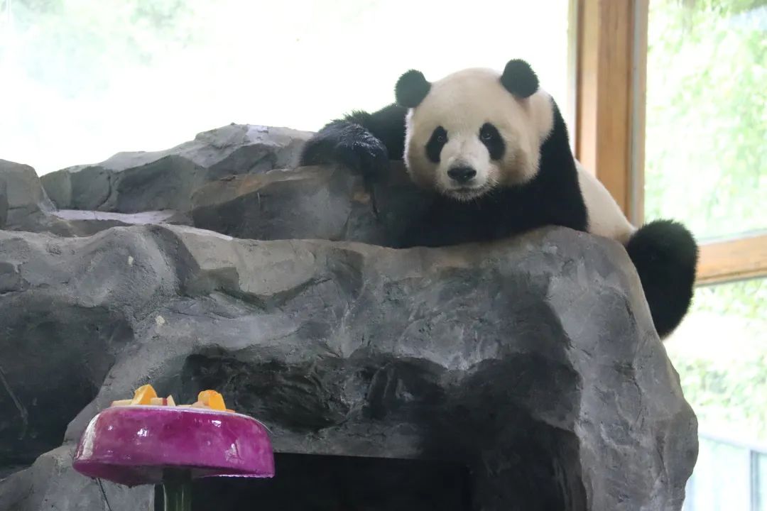 云南野生动物园