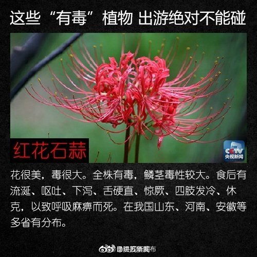 “昆明五华发布”微博