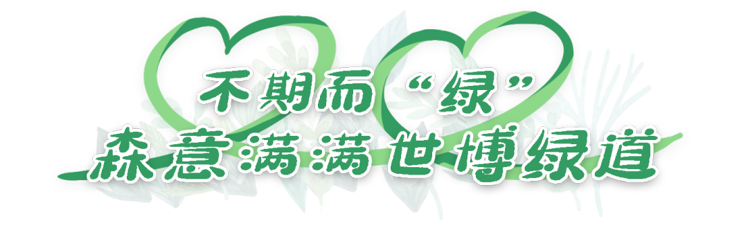 微观盘龙