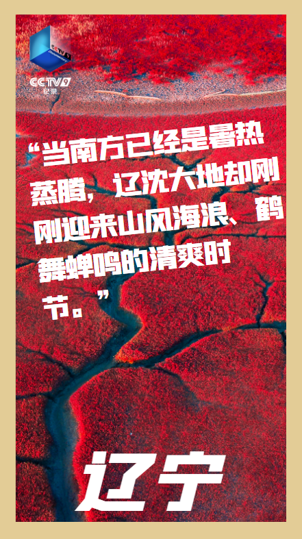 918云南交通台(微信)