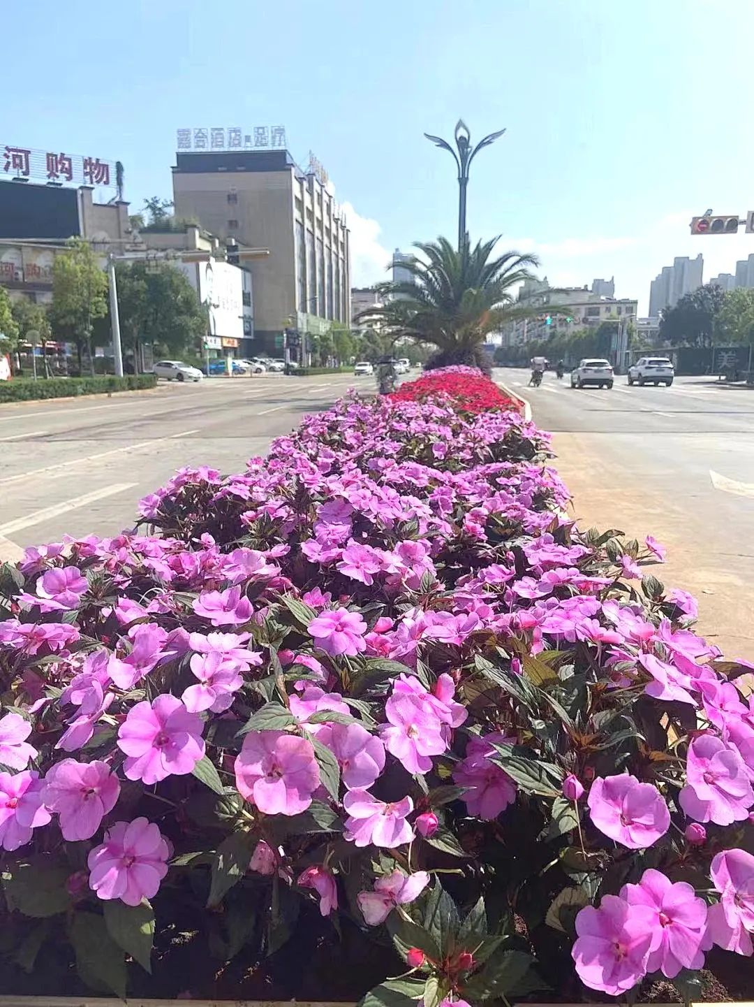 悦读嵩明