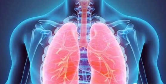 昆明国家高新区发布