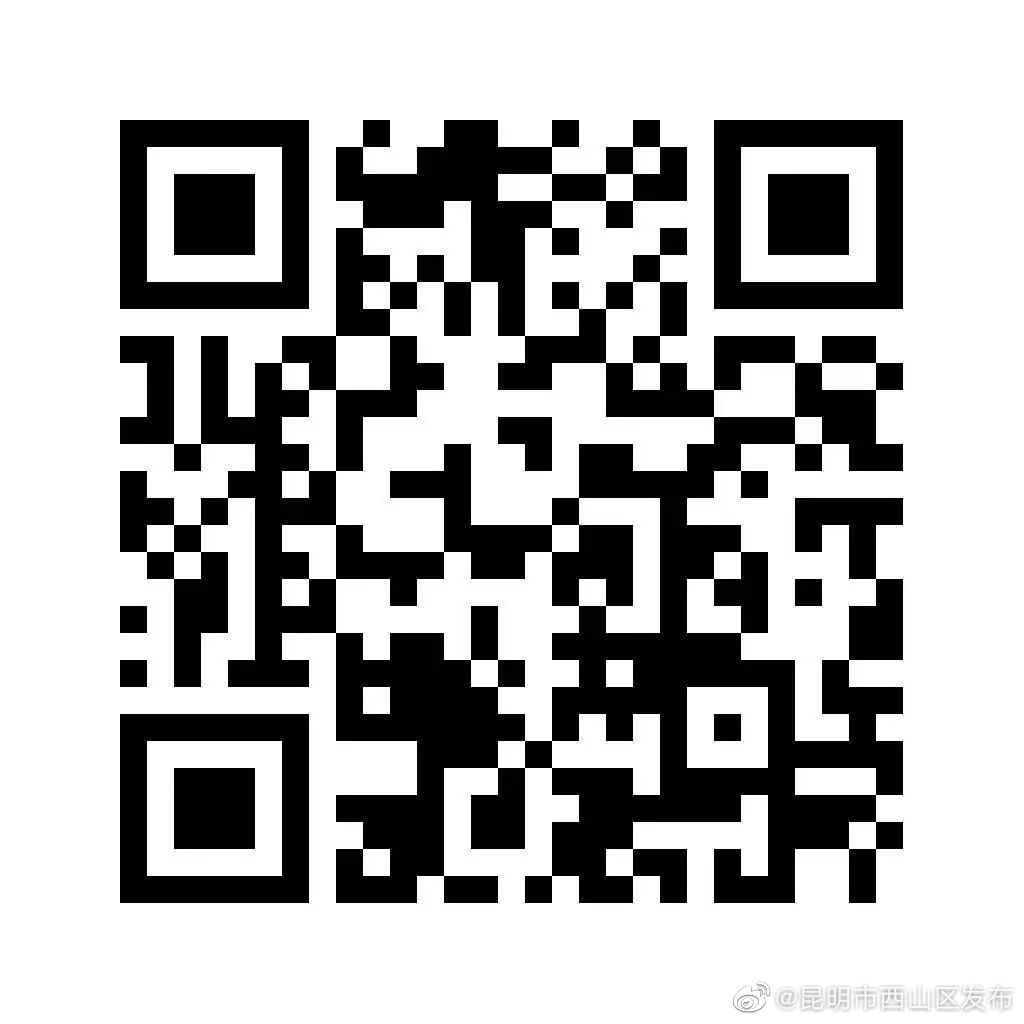 昆明市西山区发布