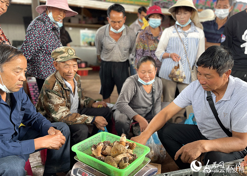 “云南发布”微博