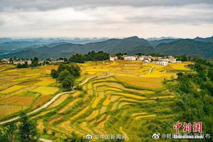 昆明市西山区发布