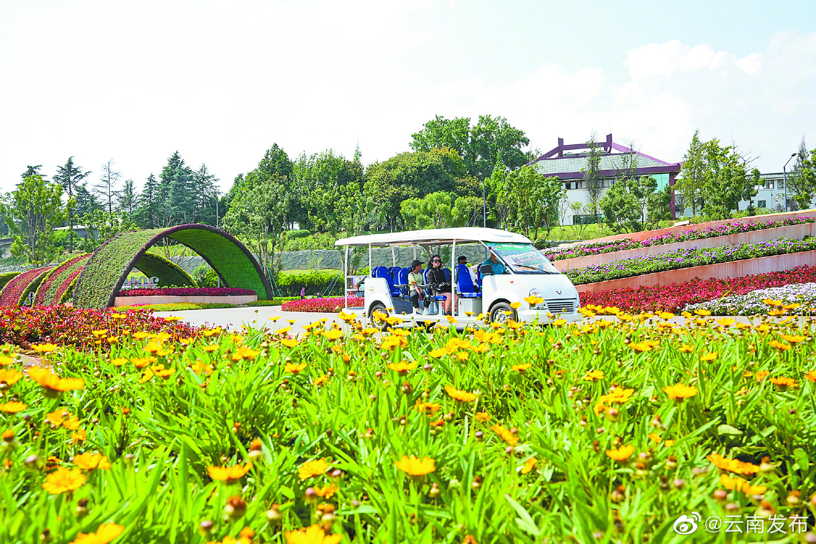 “云南发布”微博