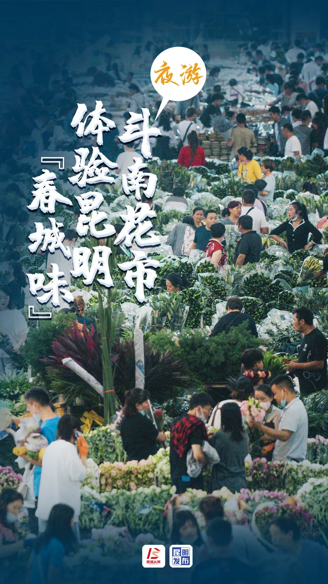 昆明发布
