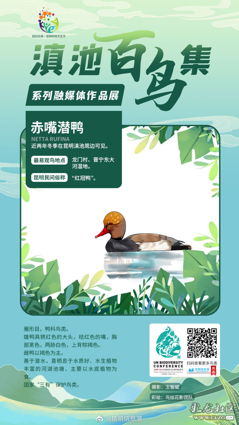 昆明信息港