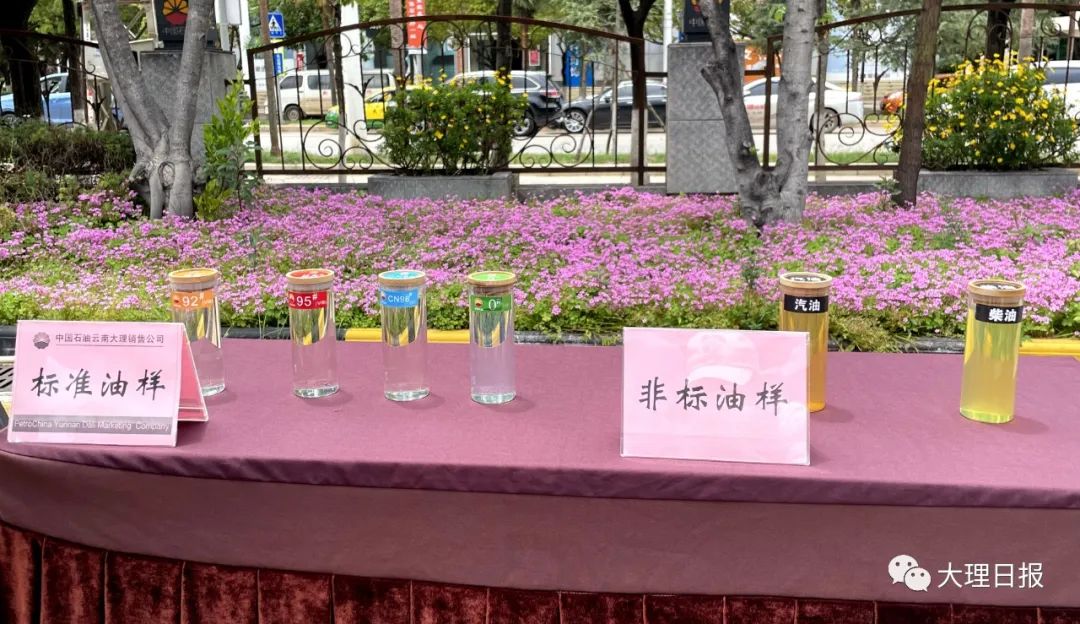 大理日报