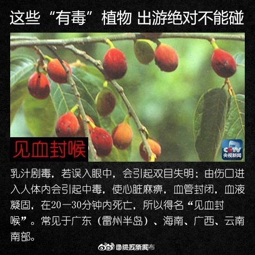 “昆明五华发布”微博