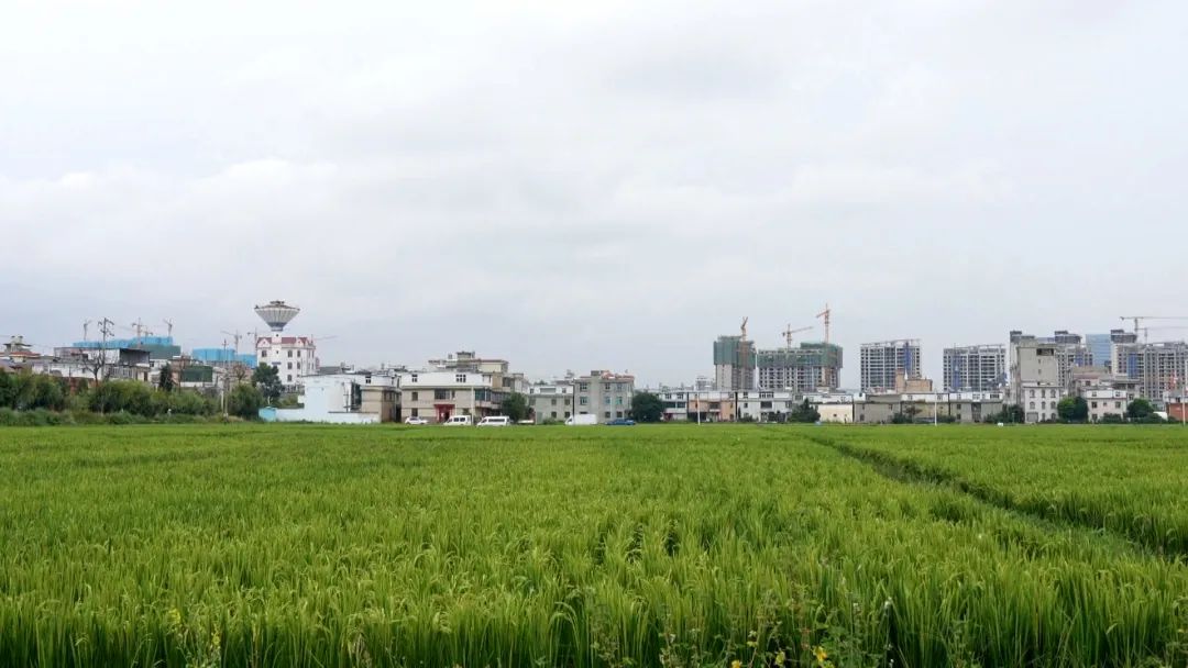 文明昆明