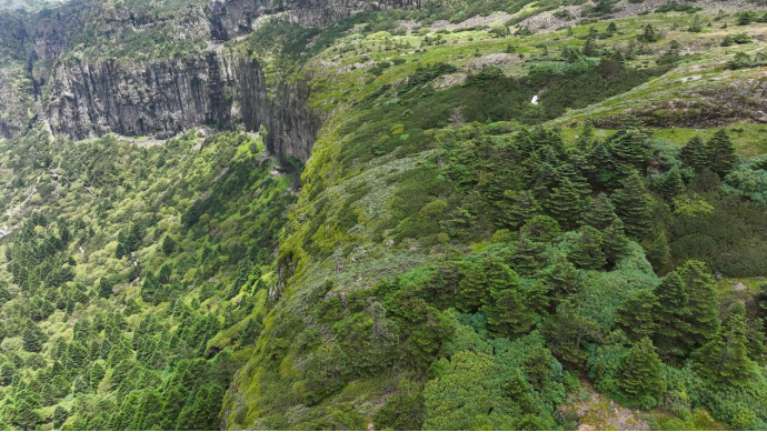 昆明轿子山旅游
