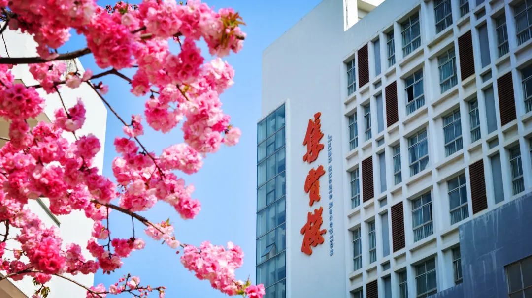 盘龙教育(微信)
