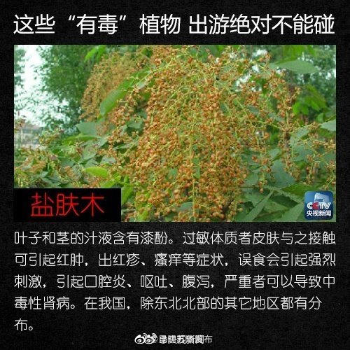 “昆明五华发布”微博