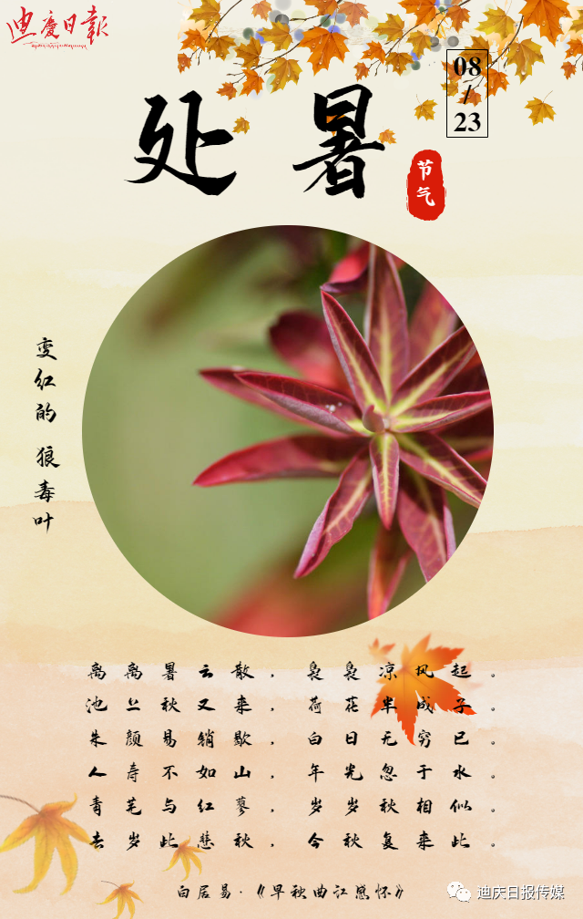 迪庆日报传媒