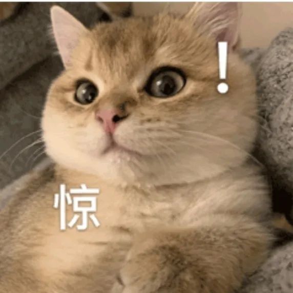 云南野生动物园