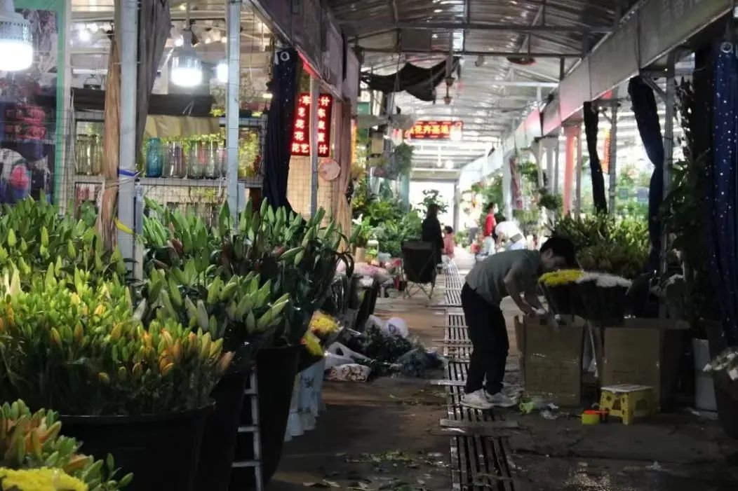 昆明文旅
