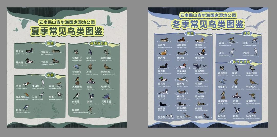 保山新闻网