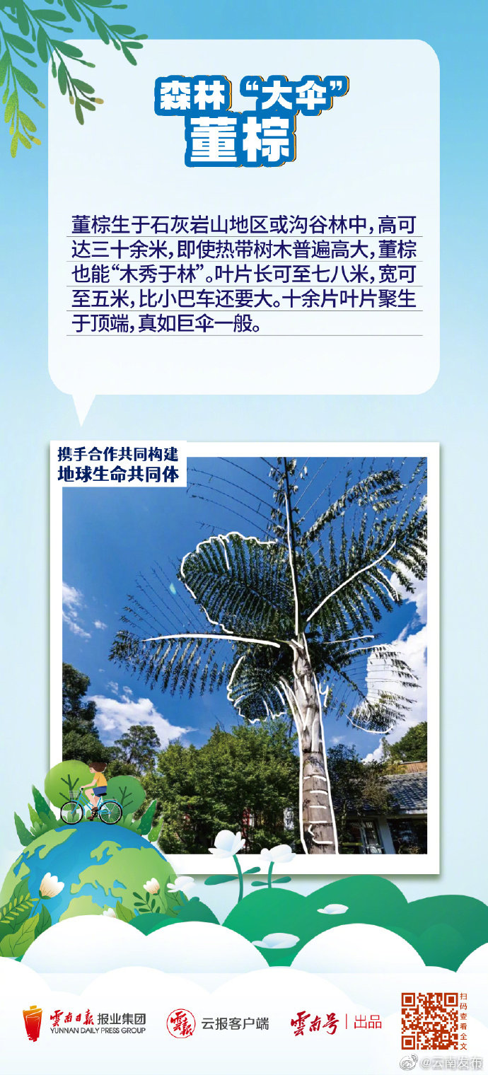 “云南发布”微博