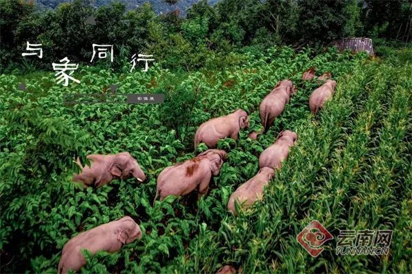 云南省文化和旅游厅