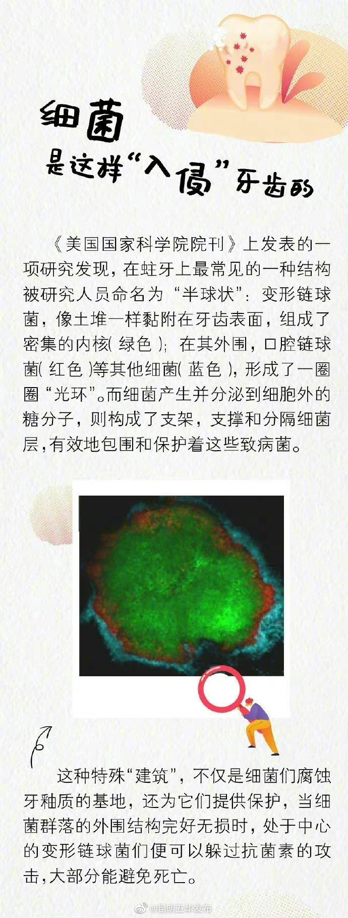 “昆明五华发布”微博