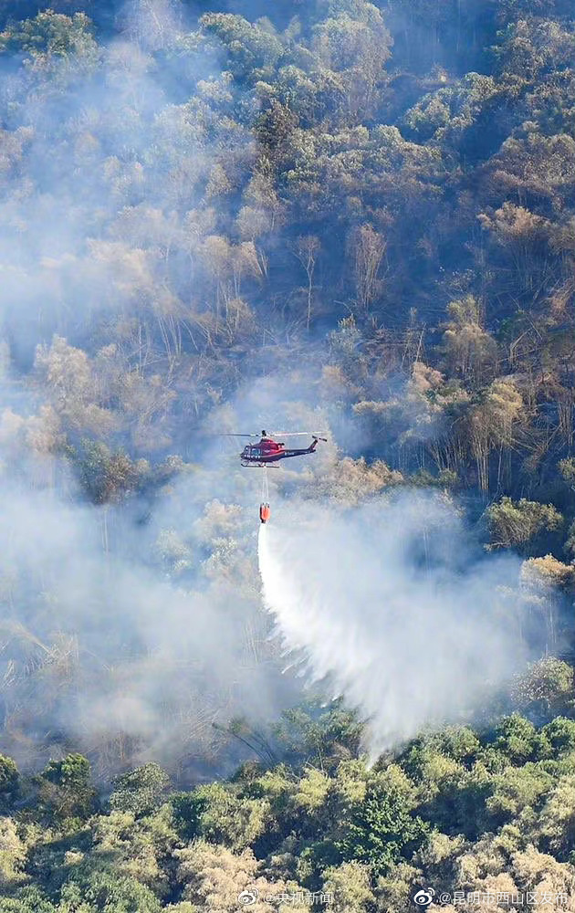 昆明市西山区发布