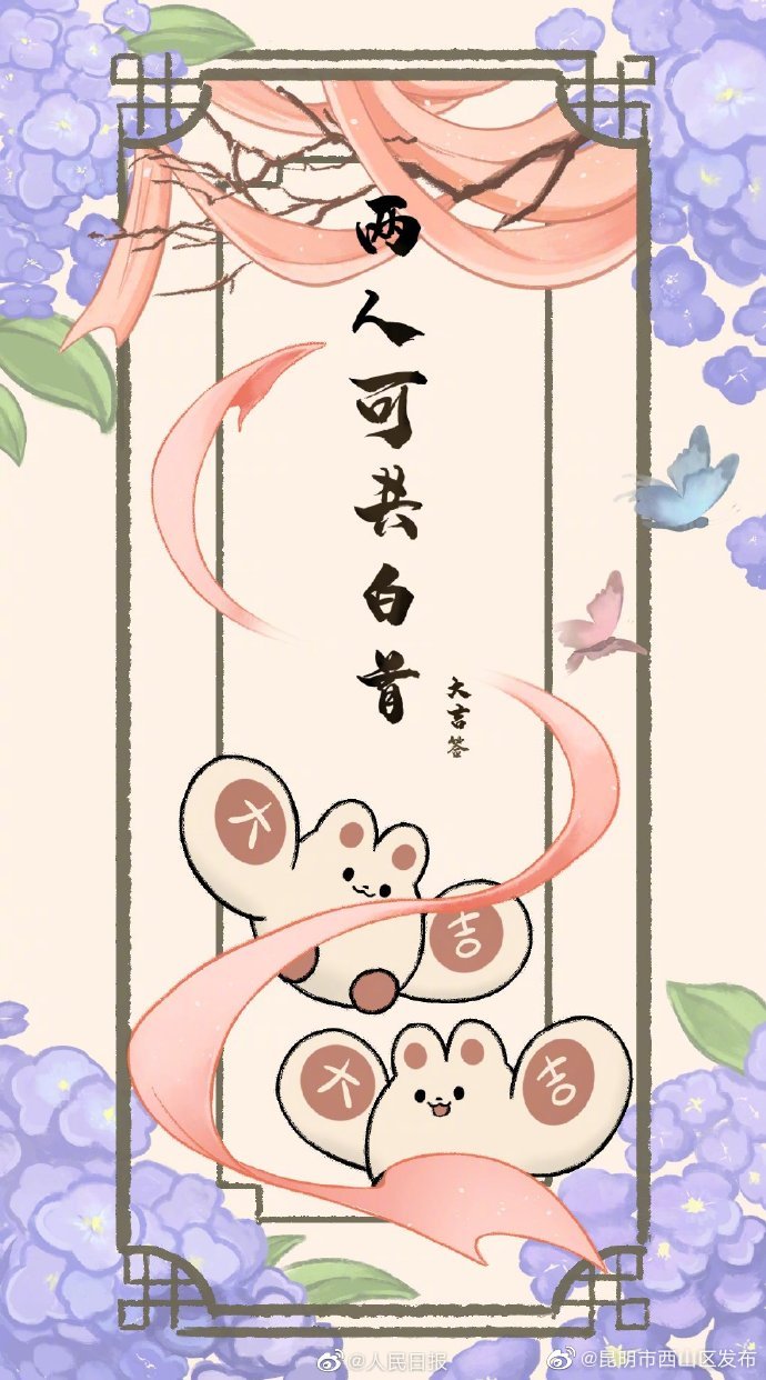 昆明市西山区发布