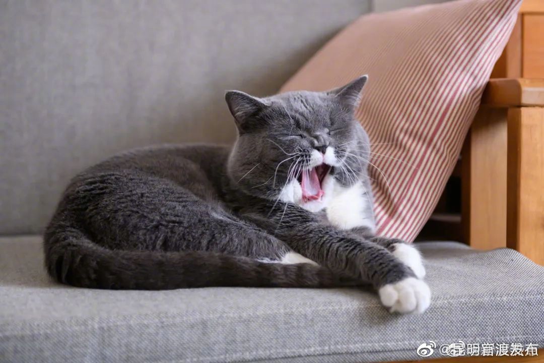 “昆明官渡发布”微博