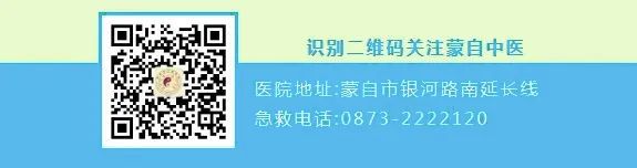 蒙自中医