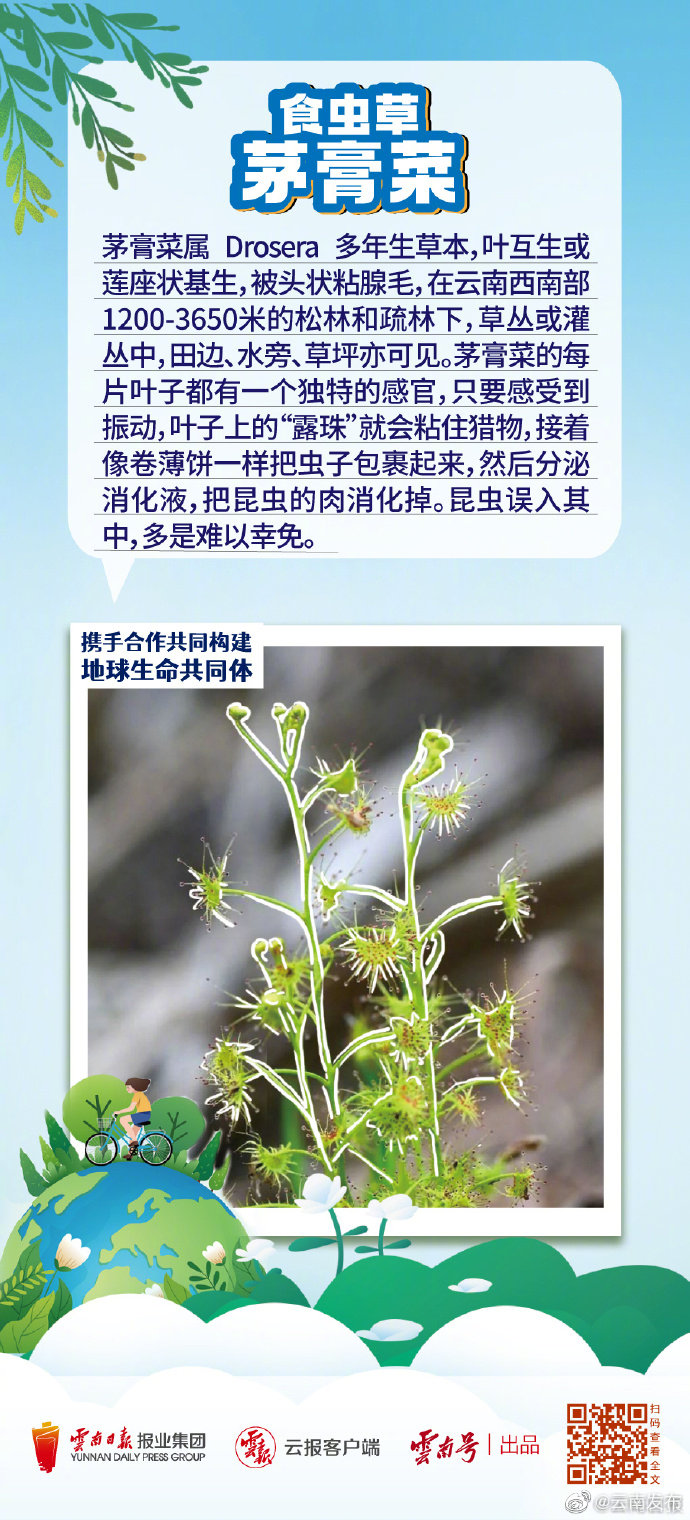 “云南发布”微博