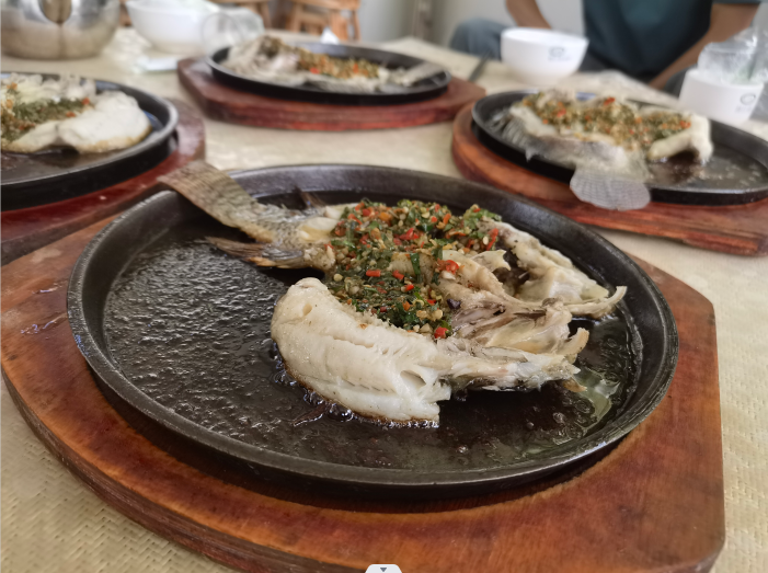普洱日报