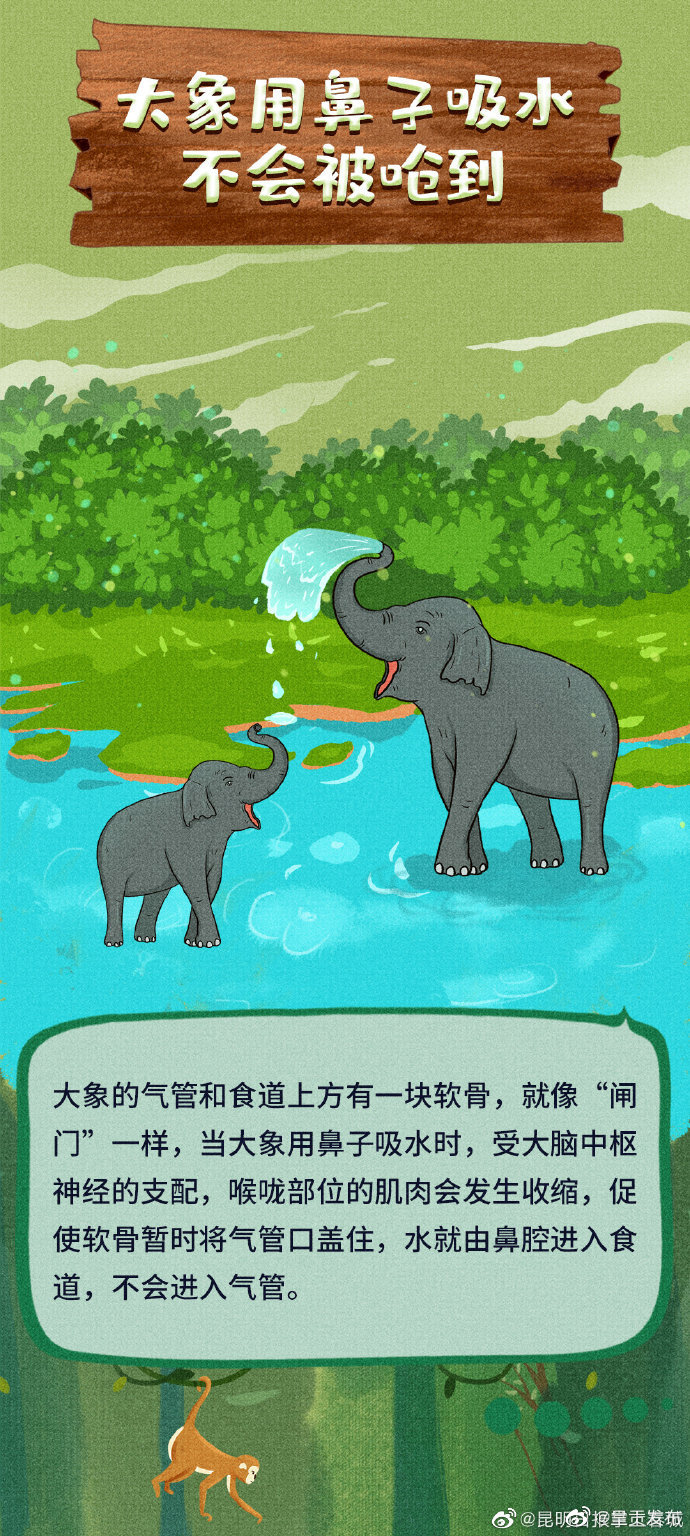 呈贡发布