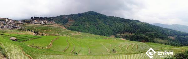 云南省文化和旅游厅