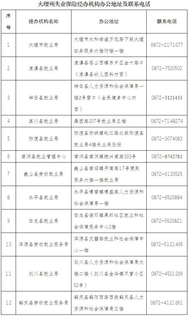 大理日报