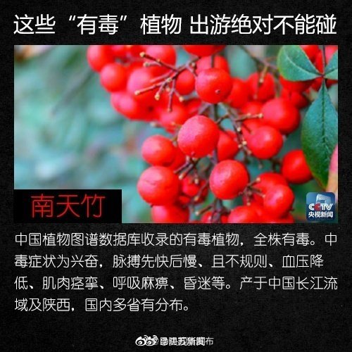 “昆明五华发布”微博
