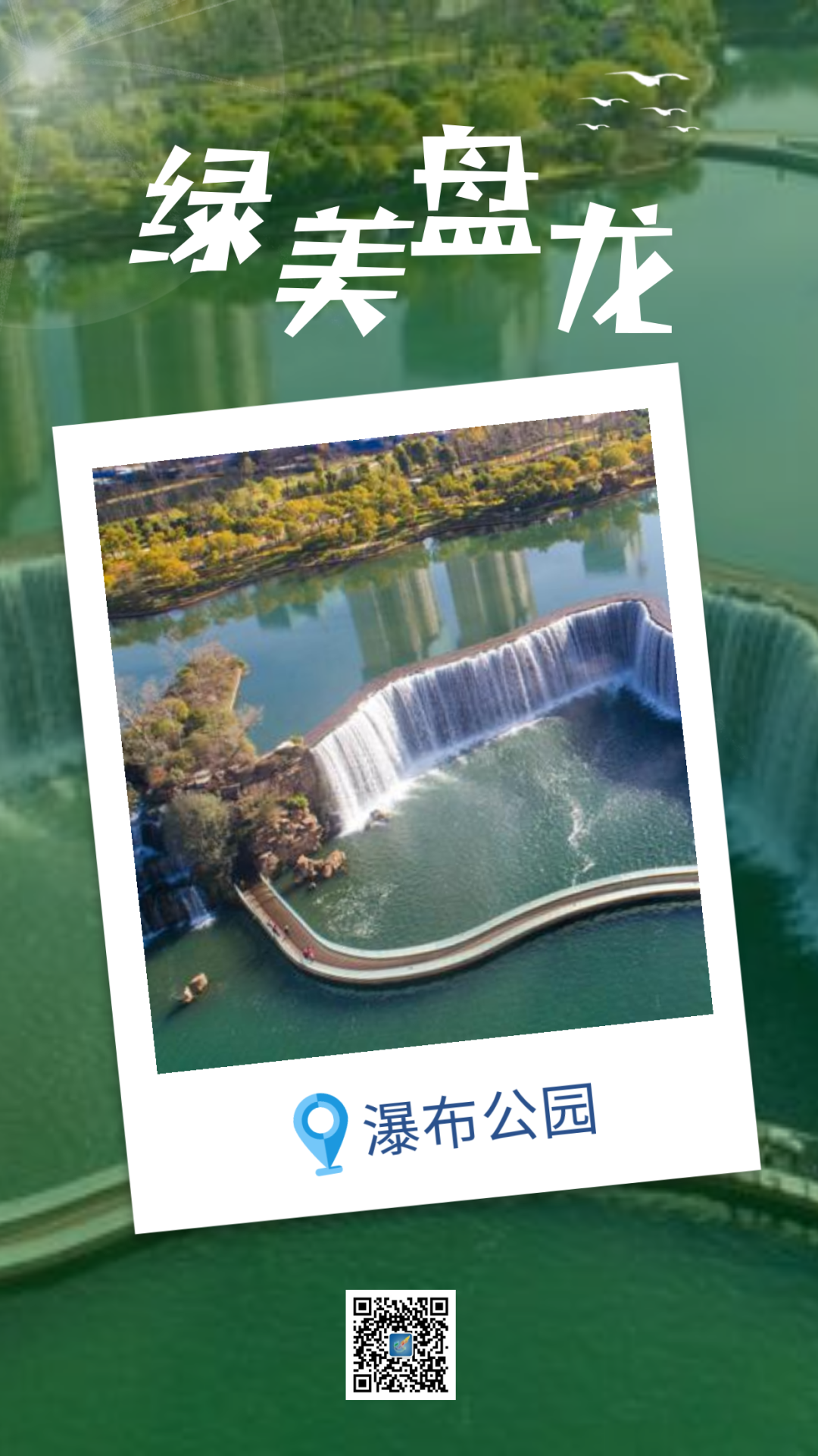 微观盘龙